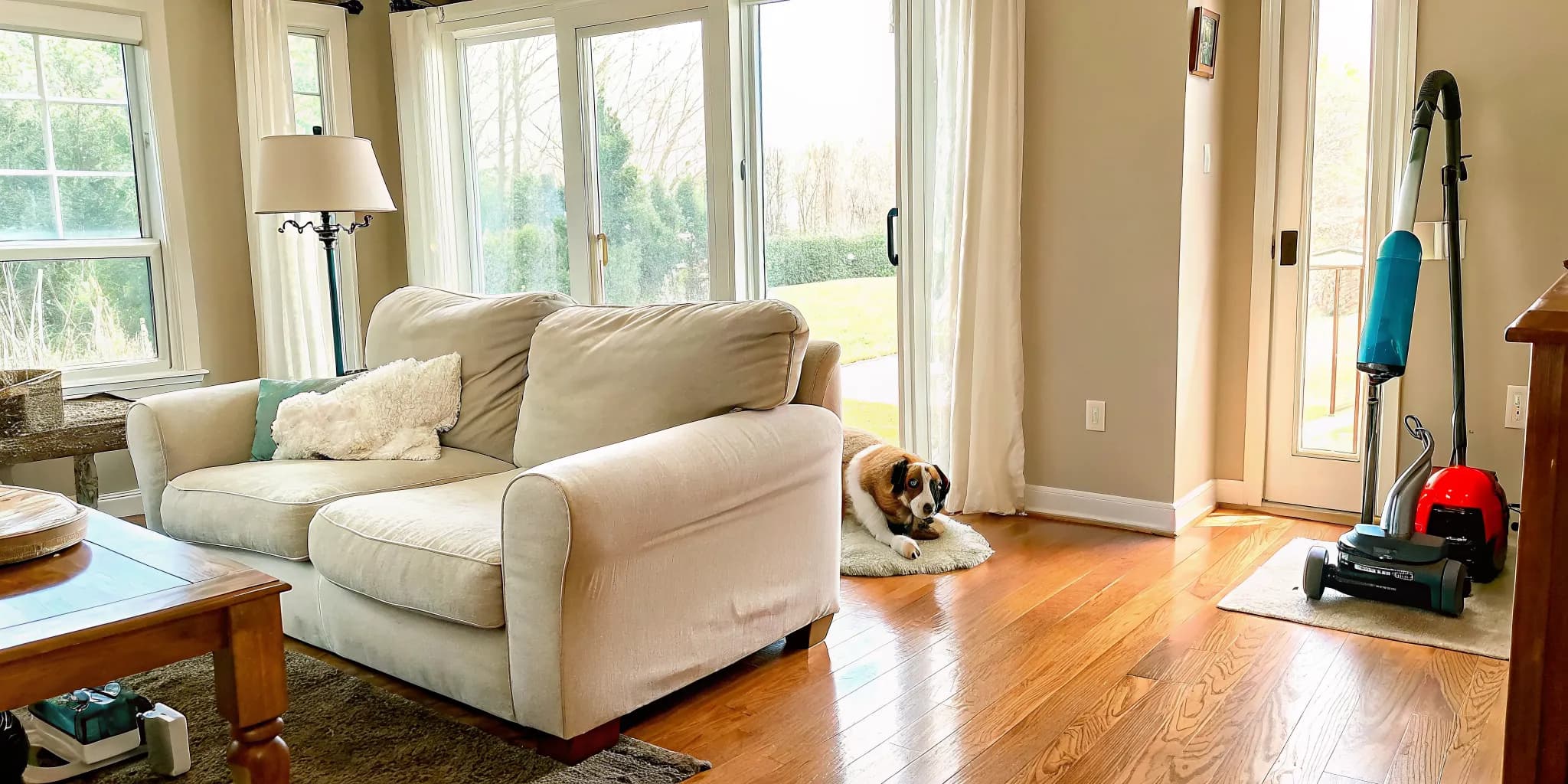 Pet hair cleaning tools in a clean Oklahoma City living room